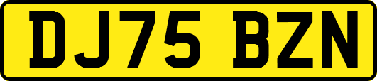 DJ75BZN