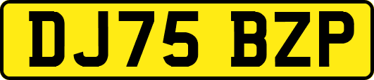 DJ75BZP