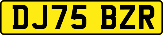 DJ75BZR