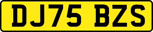 DJ75BZS