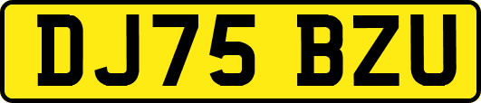 DJ75BZU