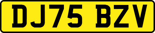 DJ75BZV