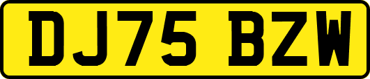 DJ75BZW