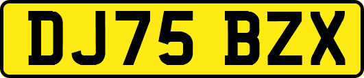 DJ75BZX