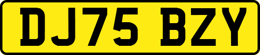 DJ75BZY