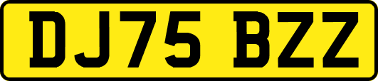 DJ75BZZ