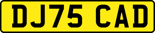 DJ75CAD