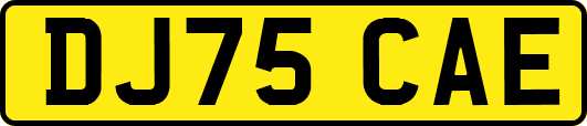 DJ75CAE