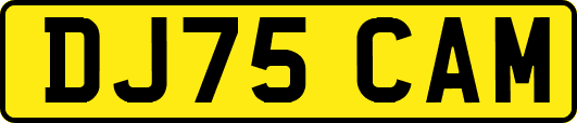 DJ75CAM