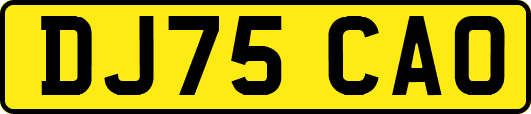 DJ75CAO