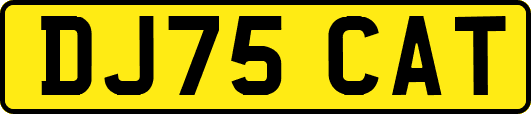 DJ75CAT