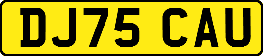 DJ75CAU