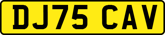 DJ75CAV