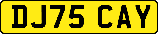 DJ75CAY