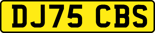 DJ75CBS