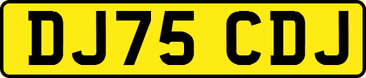 DJ75CDJ