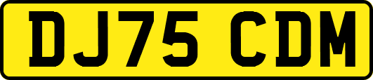 DJ75CDM