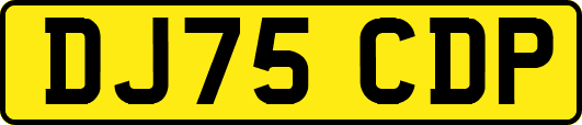 DJ75CDP