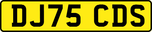 DJ75CDS