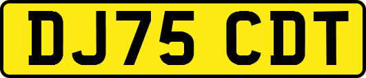 DJ75CDT