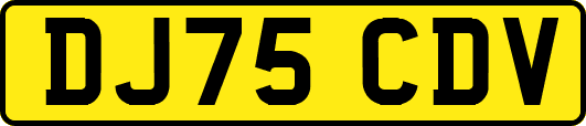 DJ75CDV