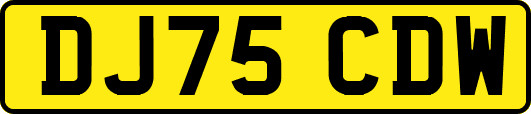 DJ75CDW