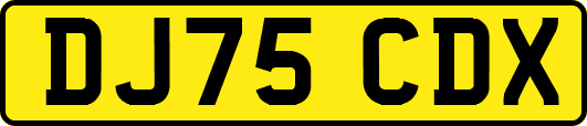 DJ75CDX