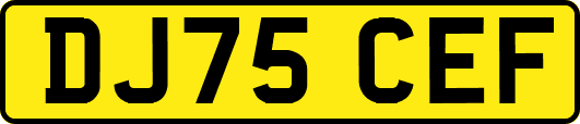 DJ75CEF