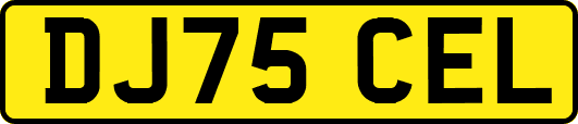 DJ75CEL