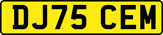 DJ75CEM