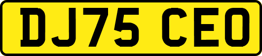 DJ75CEO