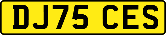 DJ75CES