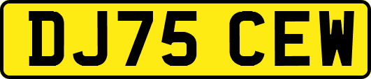 DJ75CEW