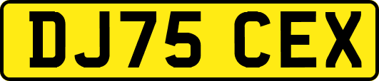 DJ75CEX