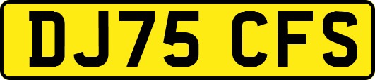 DJ75CFS
