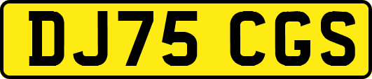 DJ75CGS