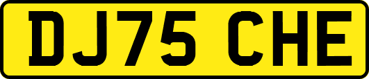 DJ75CHE
