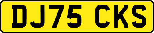 DJ75CKS