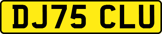 DJ75CLU