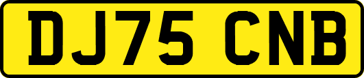 DJ75CNB
