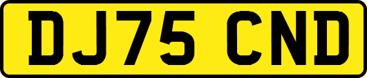 DJ75CND