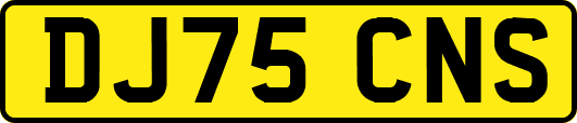 DJ75CNS