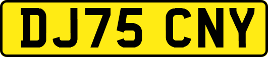 DJ75CNY
