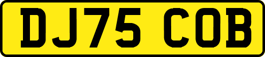 DJ75COB
