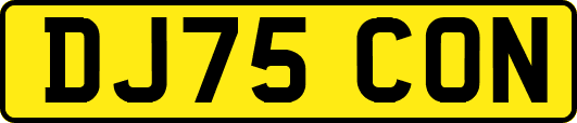 DJ75CON