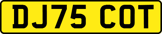 DJ75COT