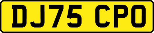 DJ75CPO
