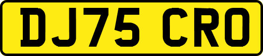 DJ75CRO