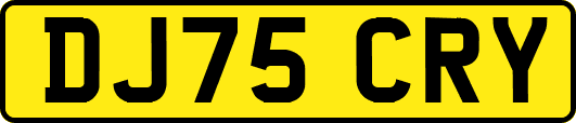 DJ75CRY