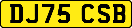 DJ75CSB
